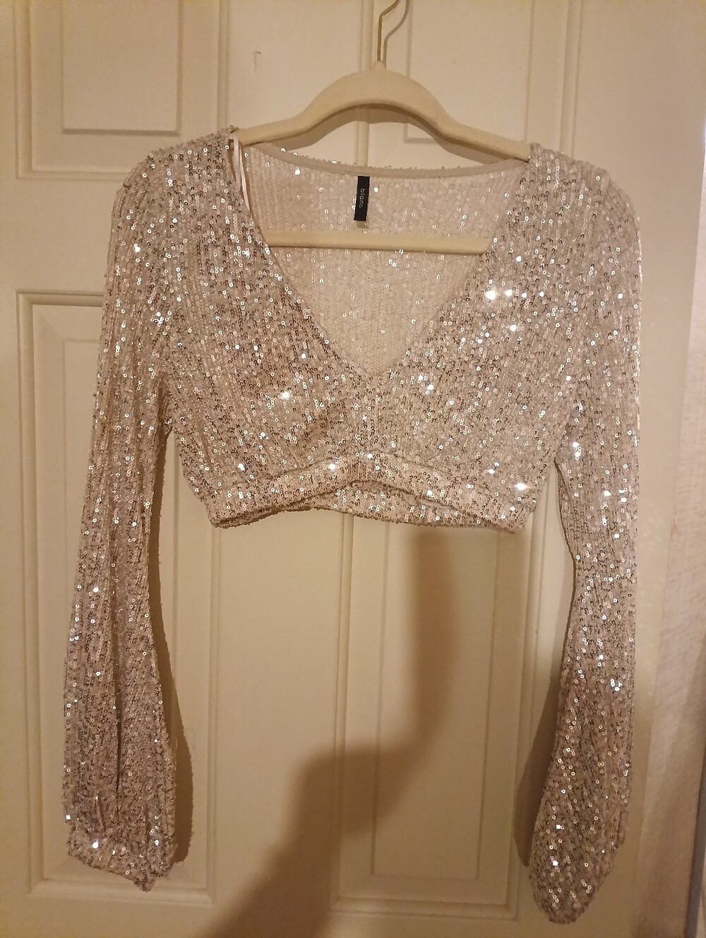 Blanc Sequin V-Neck Cropped Longsleeve Party Top - Silver Medium